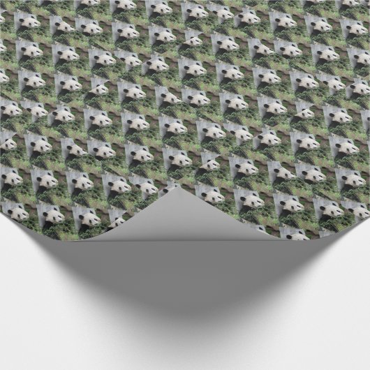 Cute Tiny Pandas, Green Cadeaupapier (Hoek)