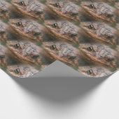 Cute Toad Face Animal Pattern Cadeaupapier (Hoek)