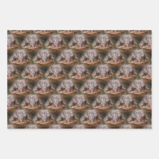 Cute Toad Face Animal Pattern Inpakpapier Vel (Voorkant 2)