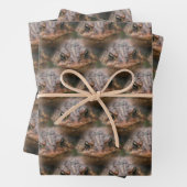 Cute Toad Face Animal Pattern Inpakpapier Vel (In situ)