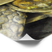 Cute Tortoise Hallo Poster (Hoek)