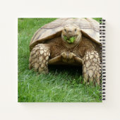 Cute Tortoise Lettuce Munch Notitieboek (Achterkant)