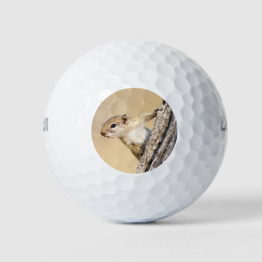 Cute Tree squirrel grappig dierlijk foto Golfballen (Voorkant)