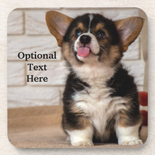 Cute Tri color Pembroke Welsh Corgi Puppy Dog Bier Onderzetter