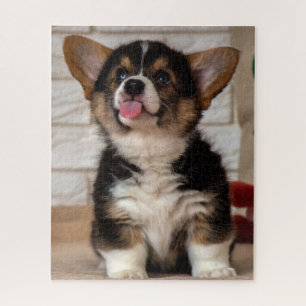 Cute Tri Color Pembroke Welsh Corgi Puppy Dog Legpuzzel