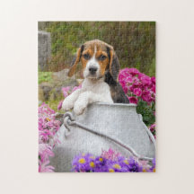 Cute Tricolor Beagle Dog Puppy Churn - Game Jigzaa