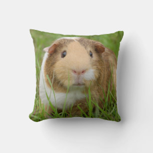 Cute Tricolor Guinee Pig in Green Grass Kussen
