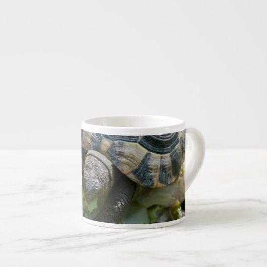 Cute Turtle Espresso Kop (Voorkant rechts)