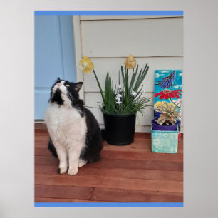 Cute Tuxedo Cat Black White Cats Floral Daffodil Poster