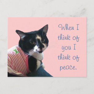 Cute Tuxedo Chat Pensez à la paix Cartes postales