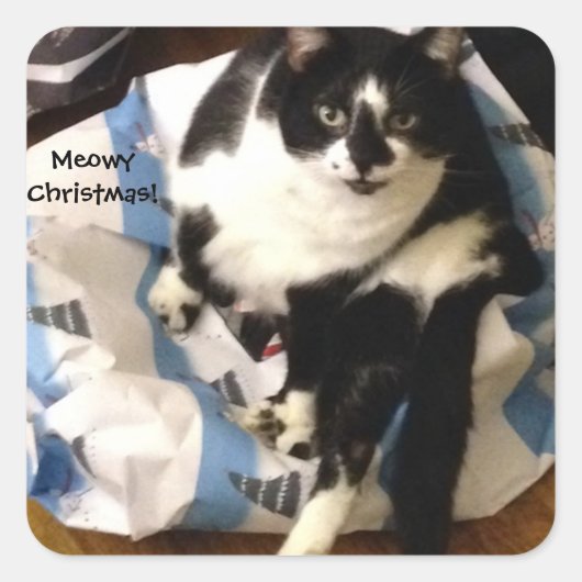 Cute Tuxedo Chat Présente Meowy Stickers Noël (Devant)
