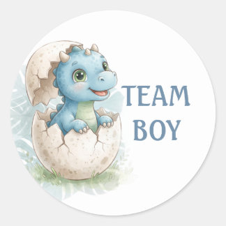 Cute Uitbroedende Dinosaur Team Jongen Geslacht Re Ronde Sticker