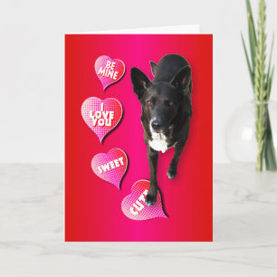 Cute Valentijn Dog Card Feestdagen Kaart