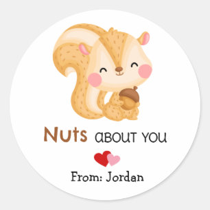 Cute Valentijnsdag Squirrel Nuts Over jou Ronde Sticker