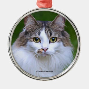 Cute Visiting Long-Hazard Calico Cat in de tuin Metalen Ornament