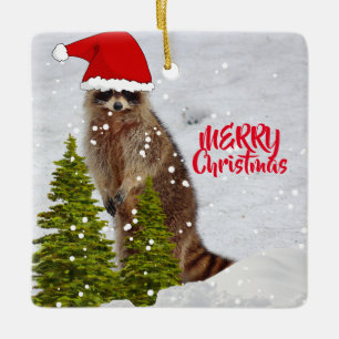 Cute Wasbeer Kerstboom Ornament