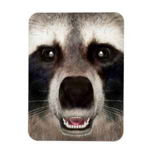 Cute Wasbeerhoofd Grappig Dierenportret Magneet