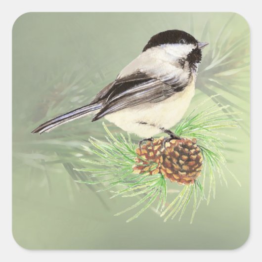 Cute Waterverf Chickadee Bird in Pine Tree Vierkante Sticker (Voorkant)