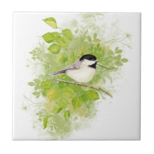 Cute Waterverf Chickadee Bird in Poplar Tree Tegeltje