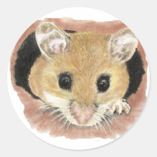 Cute Waterverf Pocket Mouse Sticker