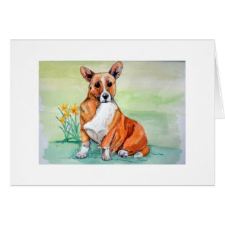 Cute Welsh Corgi Dog met Daffodils