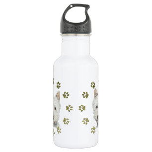 Cute West Highland White Terrier Dog and Paws Waterfles