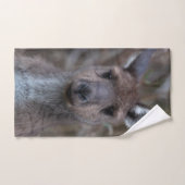 Cute Western Grey Kangaroo Australie (Serviette à main)