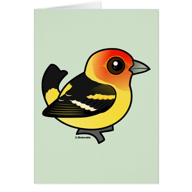 Cute Western Tanager (Devant)