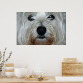 Cute Westie Canvas Print (Keuken)