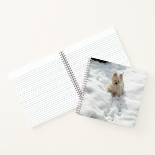 Cute Westie Dog dans le journal de Carnet de neige