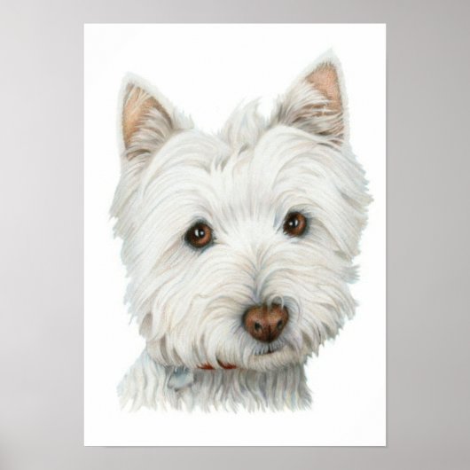Cute Westie Dog Print (Voorkant)