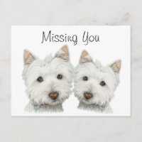 Cute Westie Dogs