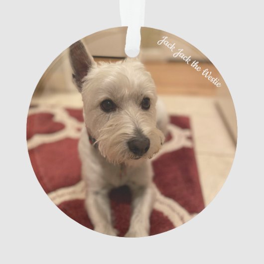 Cute Westie Ornament (achterkant)