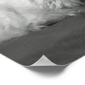 Cute Westie (West Highland Terrier) Dog Poster (Hoek)