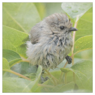 Cute Wet Wee Bushtit op de Laurel Stof