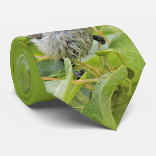 Cute Wet Wee Bushtit op de Laurel Stropdas (Opgerold)