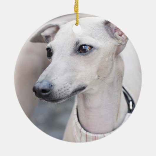 Cute Whippet Keramisch Ornament (Achterkant)