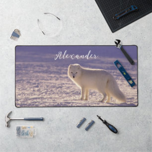 Cute White Arctic Fox neige hiver Photographie
