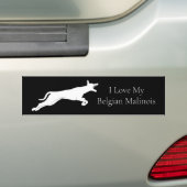 Cute White Belgium Malinois Bumpersticker (Op auto)