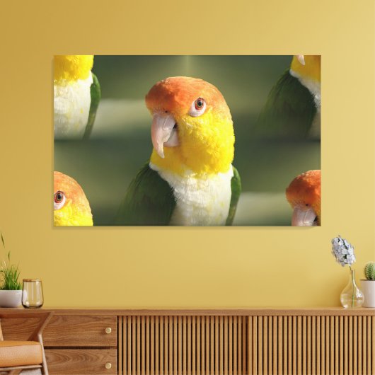 Cute White Bellied Caique Parrot Canvas Afdruk (Insitu (Woonkamer))