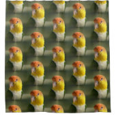 Cute White Bellied Caique Parrot Douchegordijn (Voorkant)