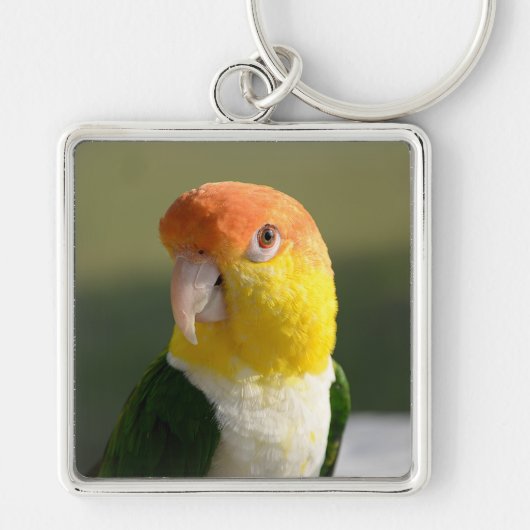 Cute White Bellied Caique Parrot Sleutelhanger (Voorkant)