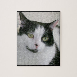 Cute White Black Cat Photo Legpuzzel