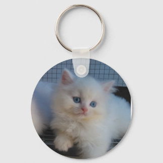 CUTE WHITE CAT KITTEN PERSIAN SLEUTELHANGER