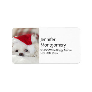 Cute White Dog in a Red Christmas Hat Etiket