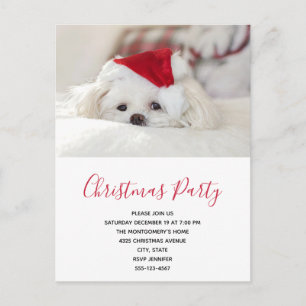 Cute White Dog in een Red Kerstfeest Pet Party Uitnodiging Briefkaart