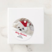 Cute White Dog in een Rode Kerstmis Pet Bedankjes Labels (In situ)