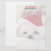Cute White Dog in een Rode Kerstmis Pet Briefpapier (Voorkant / Achterkant)