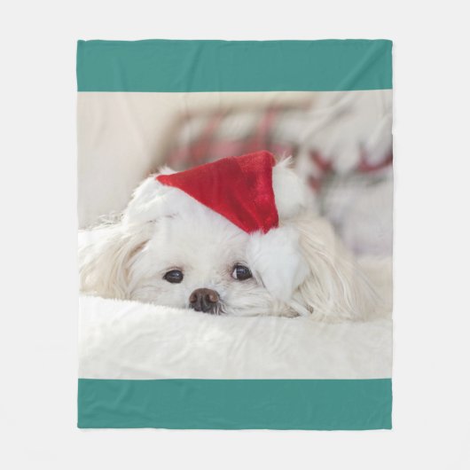 Cute White Dog in een Rode Kerstmis Pet Fleece Deken (Voorkant)