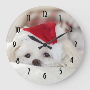 Cute White Dog in een Rode Kerstmis Pet Grote Klok